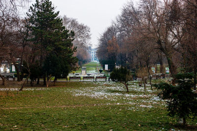 Trees in park against sky