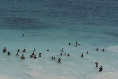 High angle view of people swimming in sea