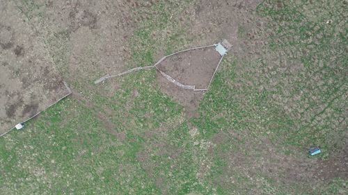 High angle view of leaf on field