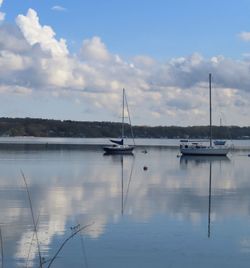 Sailboats in marina