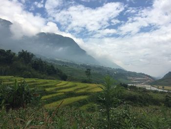 Scenic view of field against sky