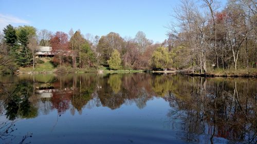 Reflection of trees in calm lake