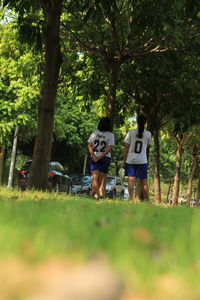 Rear view of men walking in park