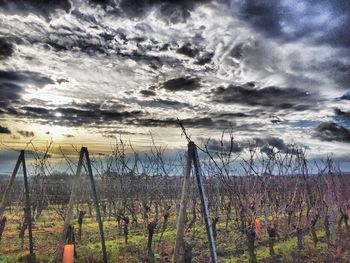 Scenic view of landscape against cloudy sky