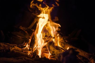 Close-up of bonfire at night