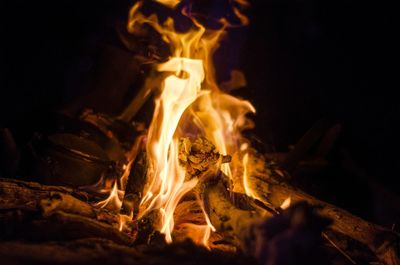 Close-up of bonfire at night