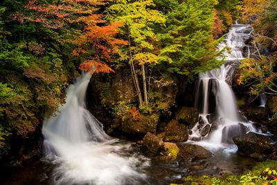 View of waterfall along lush foliage