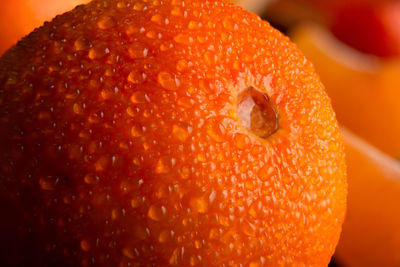 Close-up of orange slice in water