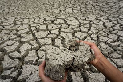 Close-up of hand holding cracked land