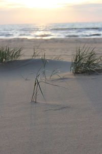 Scenic view of sea during sunset