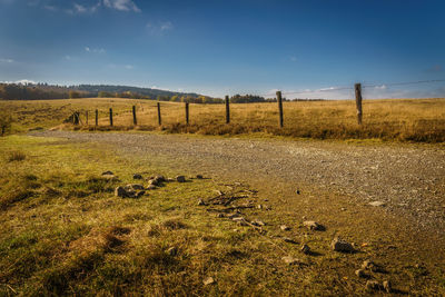 Scenic view of field against clear sky