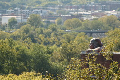 Man photographing plants on landscape against trees