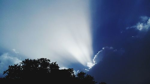 Low angle view of silhouette trees against blue sky