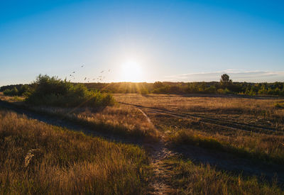 Scenic view of landscape against blue sky