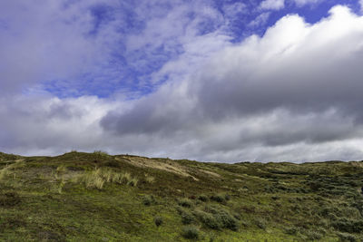 Dunes nature reserve egmond - scenic view of field against sky