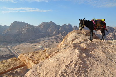 View of people riding horse on rock against sky