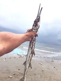 Hand holding fish at beach against sky