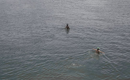 High angle view of man swimming in sea