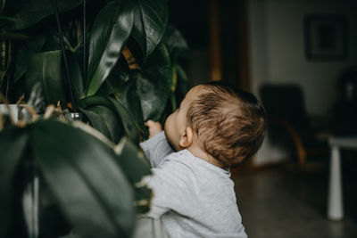 Rear view of boy playing with plants at home 