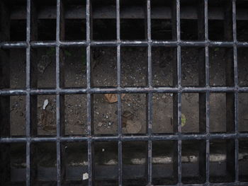 View of cat in cage