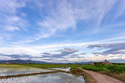 Scenic view of landscape against sky