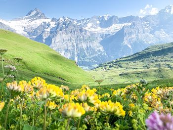 Scenic view of snowcapped mountains against sky