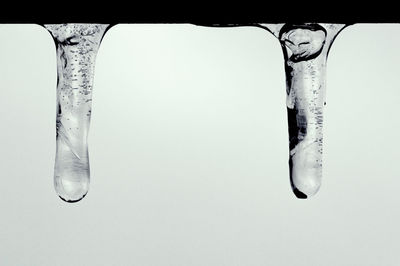 Close-up of ice crystals against white background