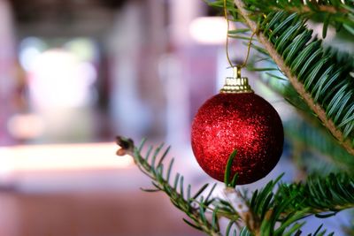 Close-up of red bauble hanging from christmas tree