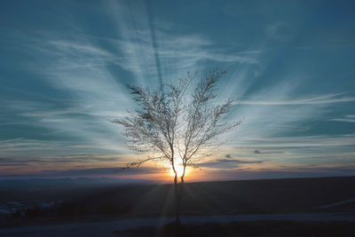Silhouette bare tree against sky during sunset
