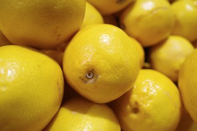 Close-up of oranges