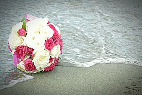 water, beach, sea, flower, sand, high angle view, shore, red, petal, freshness, nature, pink color, beauty in nature, rose - flower, close-up, day, sunlight, outdoors, no people, flower head