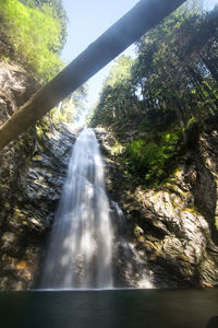 Low angle view of waterfall in forest