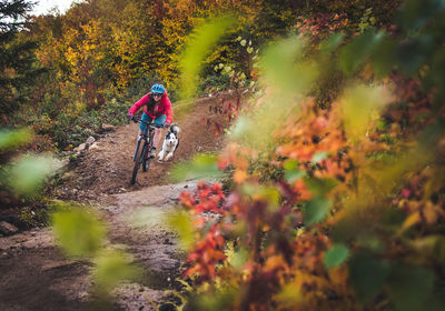 Female mountain-biking with dog running behind during foliage season