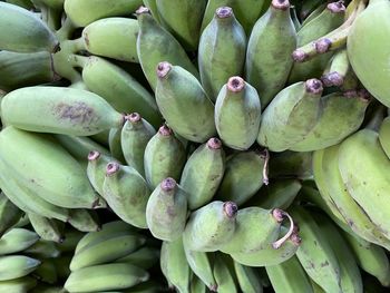 Full frame shot of fruits for sale in market