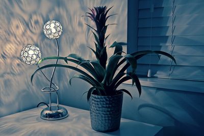 Close-up of plant by lamp on table at home