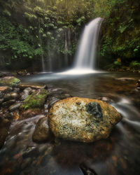 Scenic view of waterfall in forest