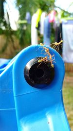 Close-up of blue pipe