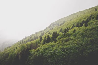 Scenic view of mountains