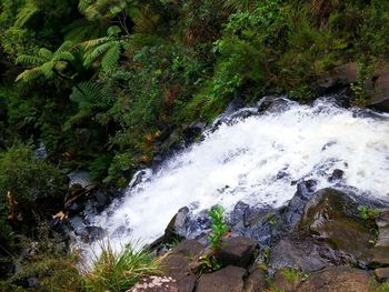 Scenic view of waterfall