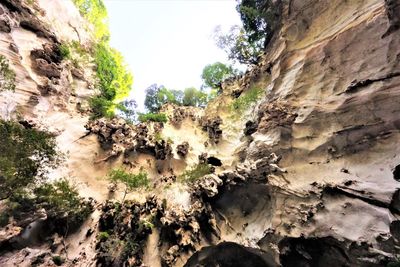 Low angle view of rock formation against sky