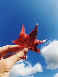 Close-up of hand holding maple leaf against sky