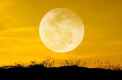 Low angle view of moon at sunset