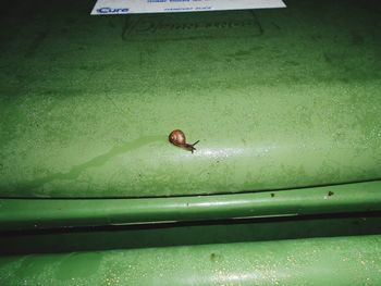 High angle view of snail on green garbage bin