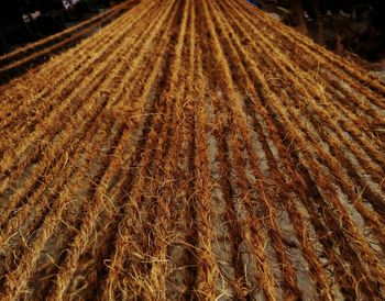 High angle view of ropes