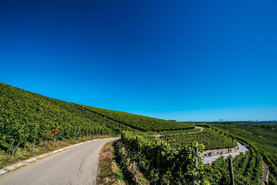 Road amidst field against clear blue sky