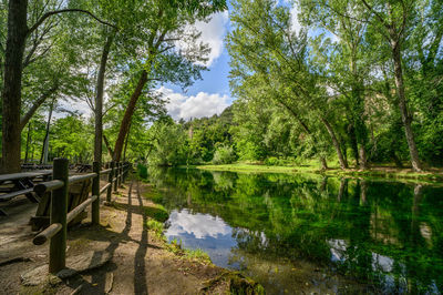 Scenic view of lake in forest against sky