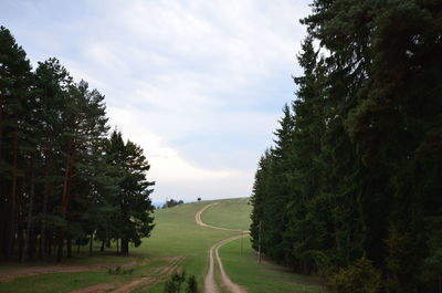 Road amidst trees against sky