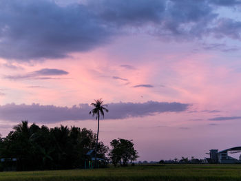 Silhouette palm trees on field against sky at sunset