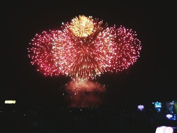 Low angle view of firework display at night