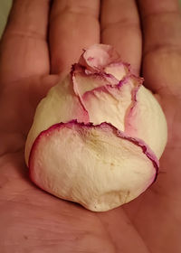 Close-up of hand holding fruit